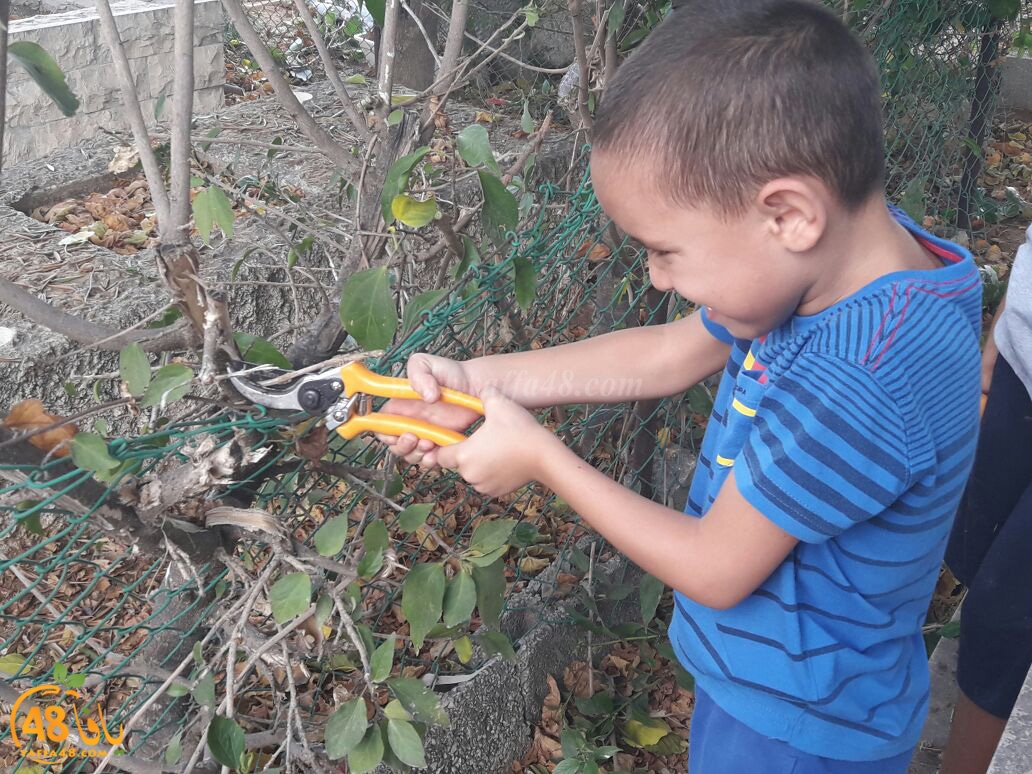 maqbara yaffai39 tandef (28).jpg